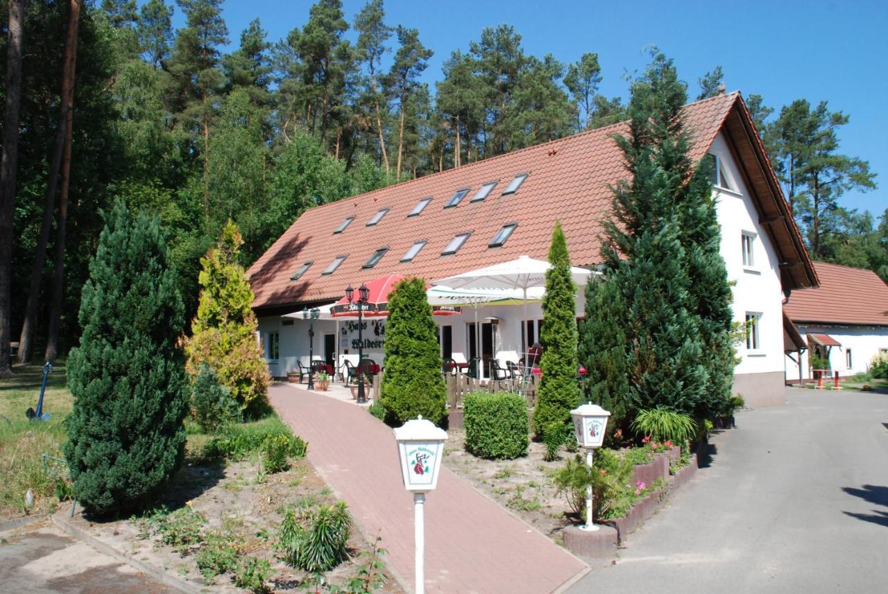 Haus Waldesruh Otel Petersdorf  Dış mekan fotoğraf